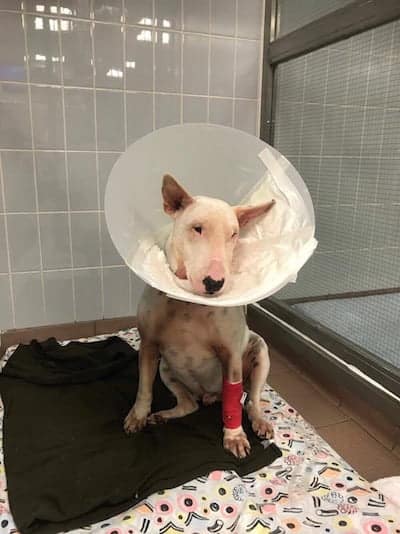 Eric who is recovering from surgery after having part of his jaw removed.