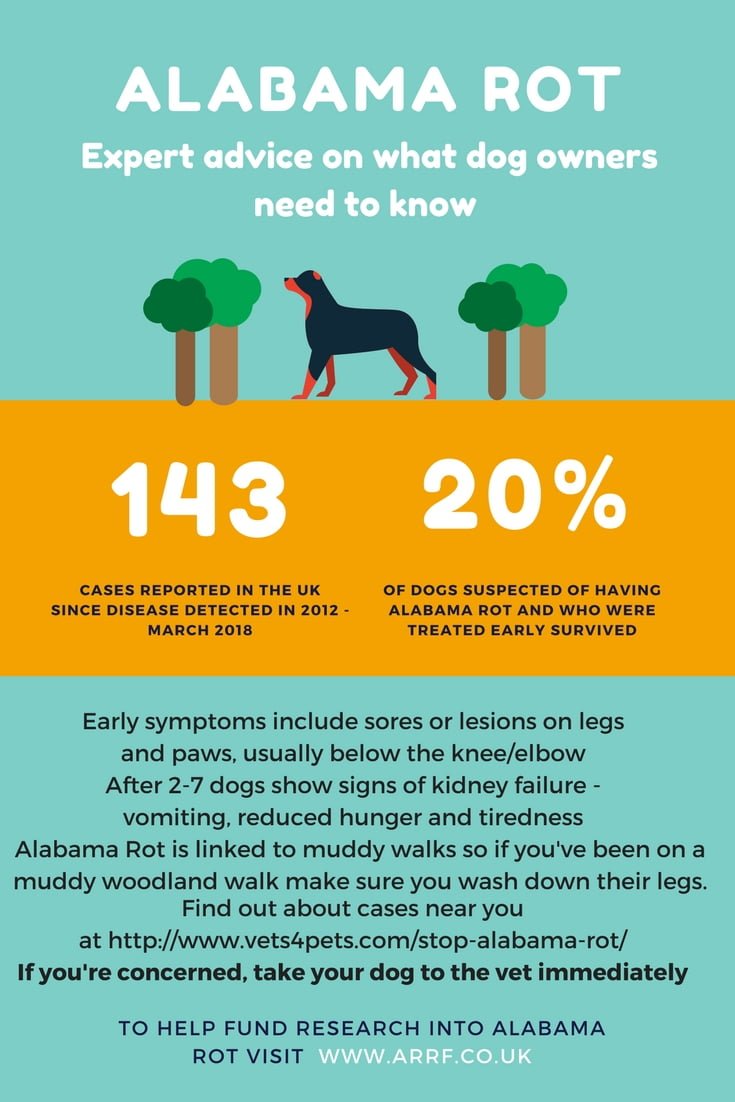 Alabama Rot information sheet on how owners can protect their dogs.
