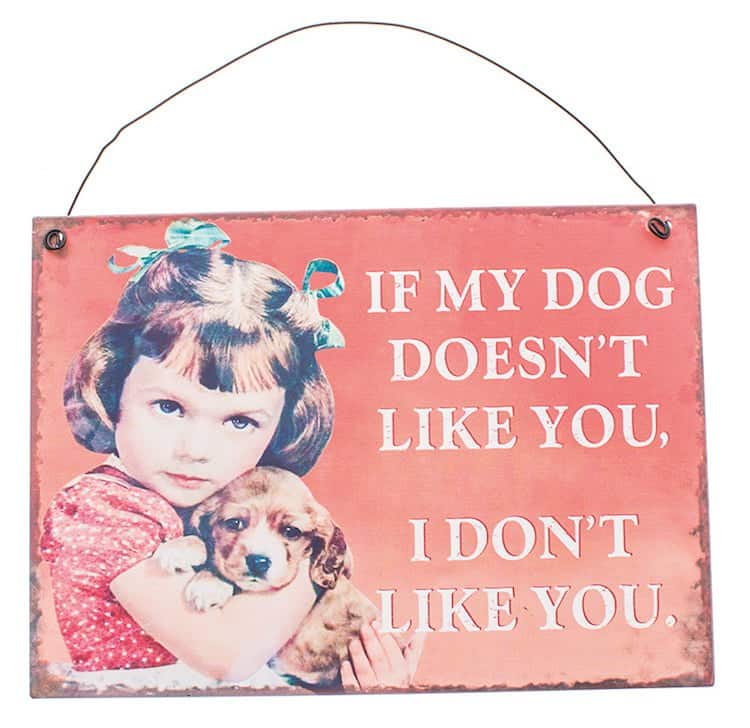 Valentines day gift ideas for dog owners