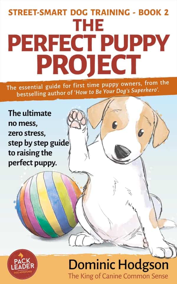 Dominic Hodgson talks about his book the Perfect Puppy Project