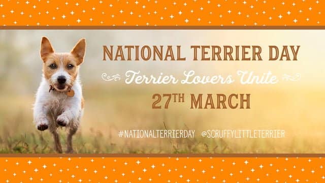 National Terrier Day March 27th