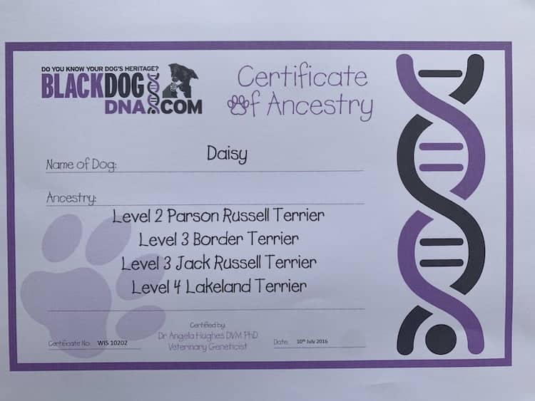 Dog DNA test certificate