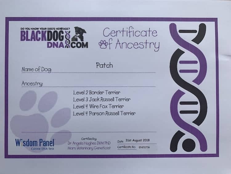 Dog DNA test certificate