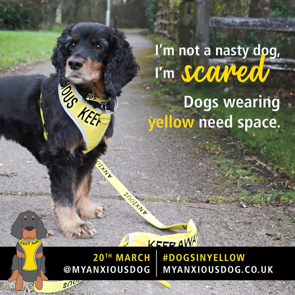 Dogs In Yellow graphic - dogs in yellow are scared and need space