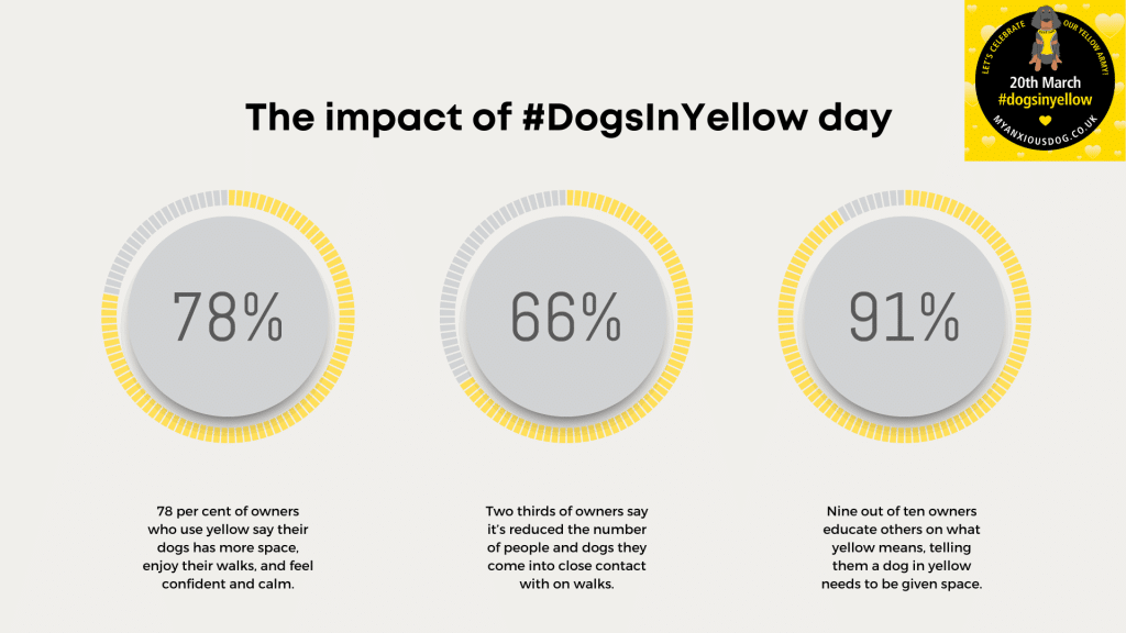 Statistics on the impact of dogs in yellow day
