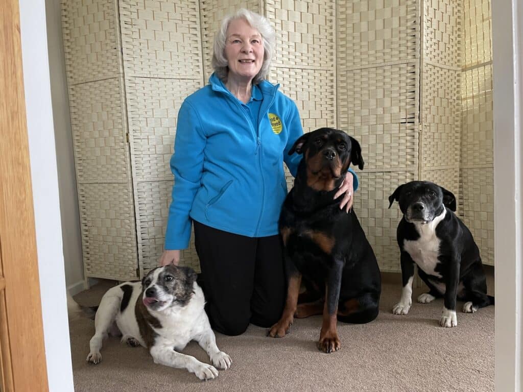 Heather Stevens, author of Beyond the Breed, and her three dogs