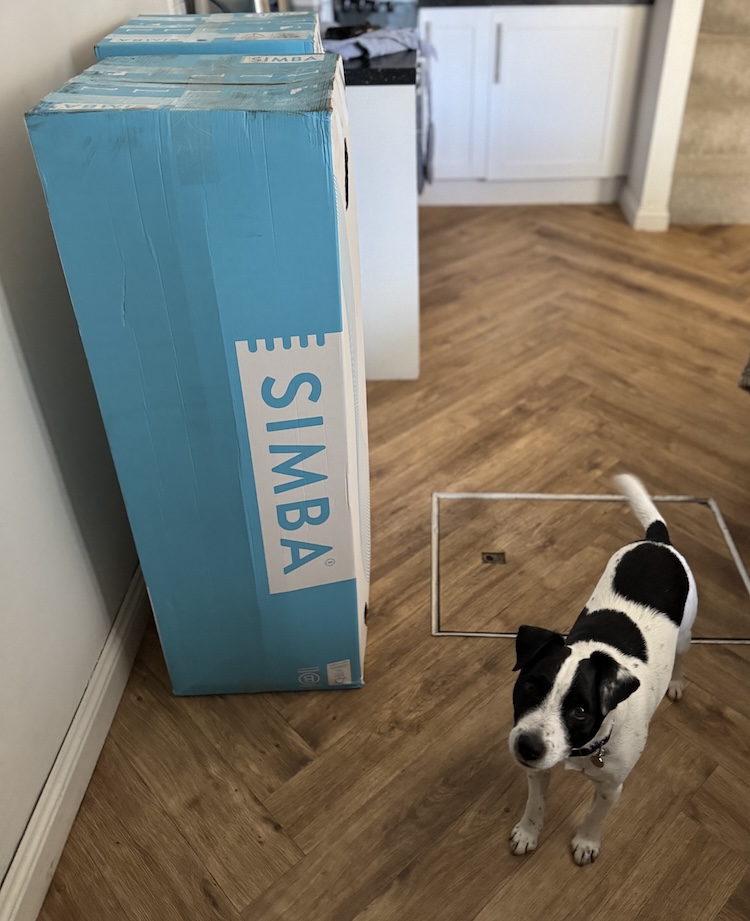 Simba Mattress in box with small dog nearby